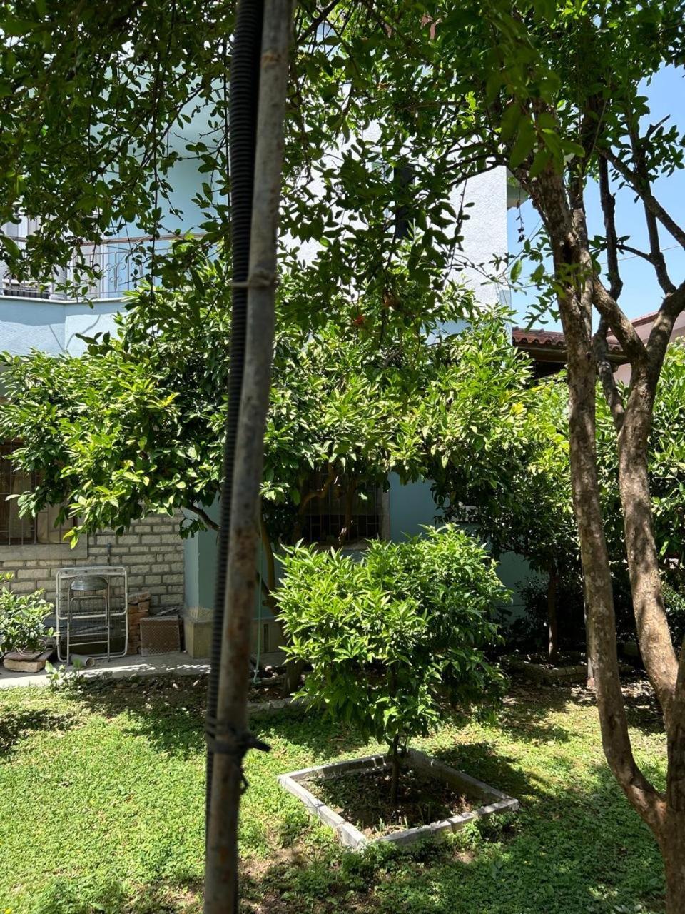 Guesthouse Katerina Berat Kültér fotó