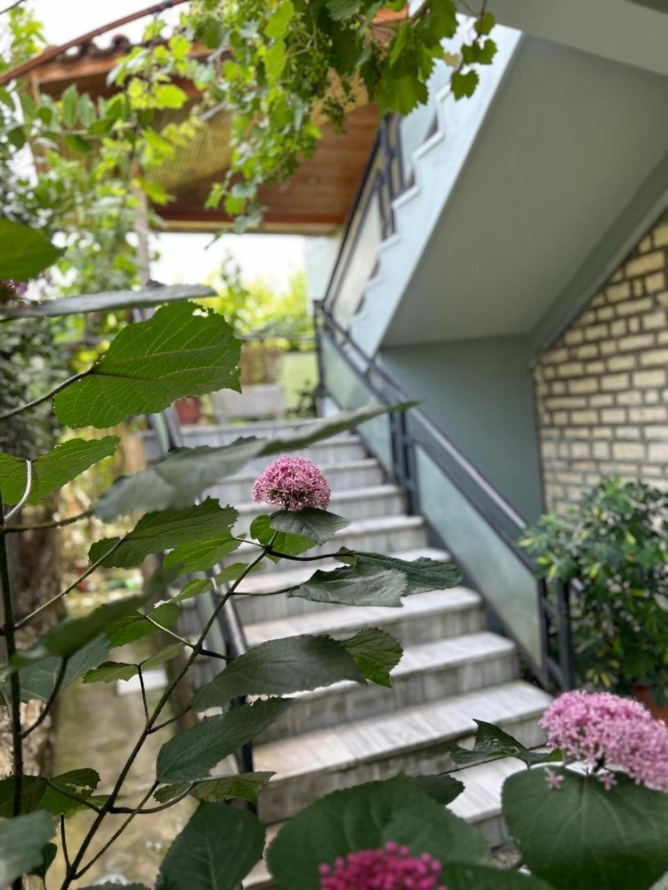 Guesthouse Katerina Berat Kültér fotó