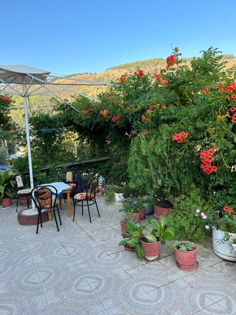 Guesthouse Katerina Berat Kültér fotó