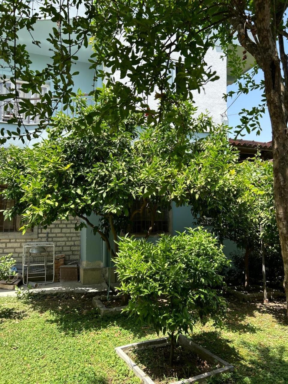 Guesthouse Katerina Berat Kültér fotó